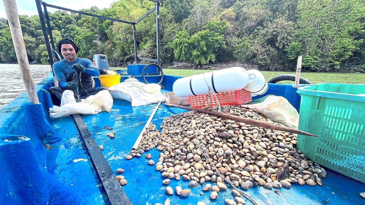 A clam collector sitting in his boat with a large haul of clams.