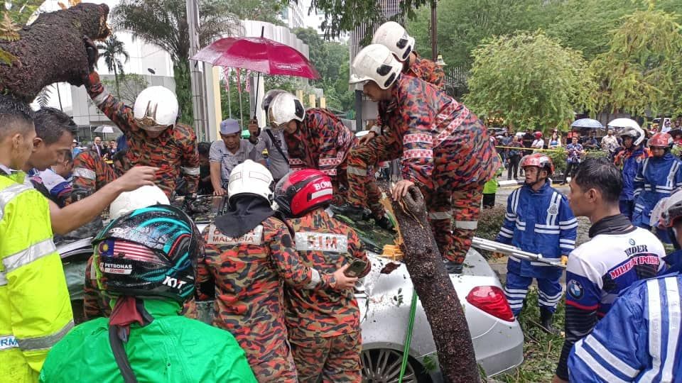 Swedish woman also injured by fallen tree in KL city centre - Vimarsana News