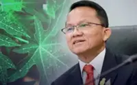 New Thai health minister signals rethink of cannabis decriminalisation policy