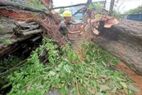 Miraculous escape for mum and son