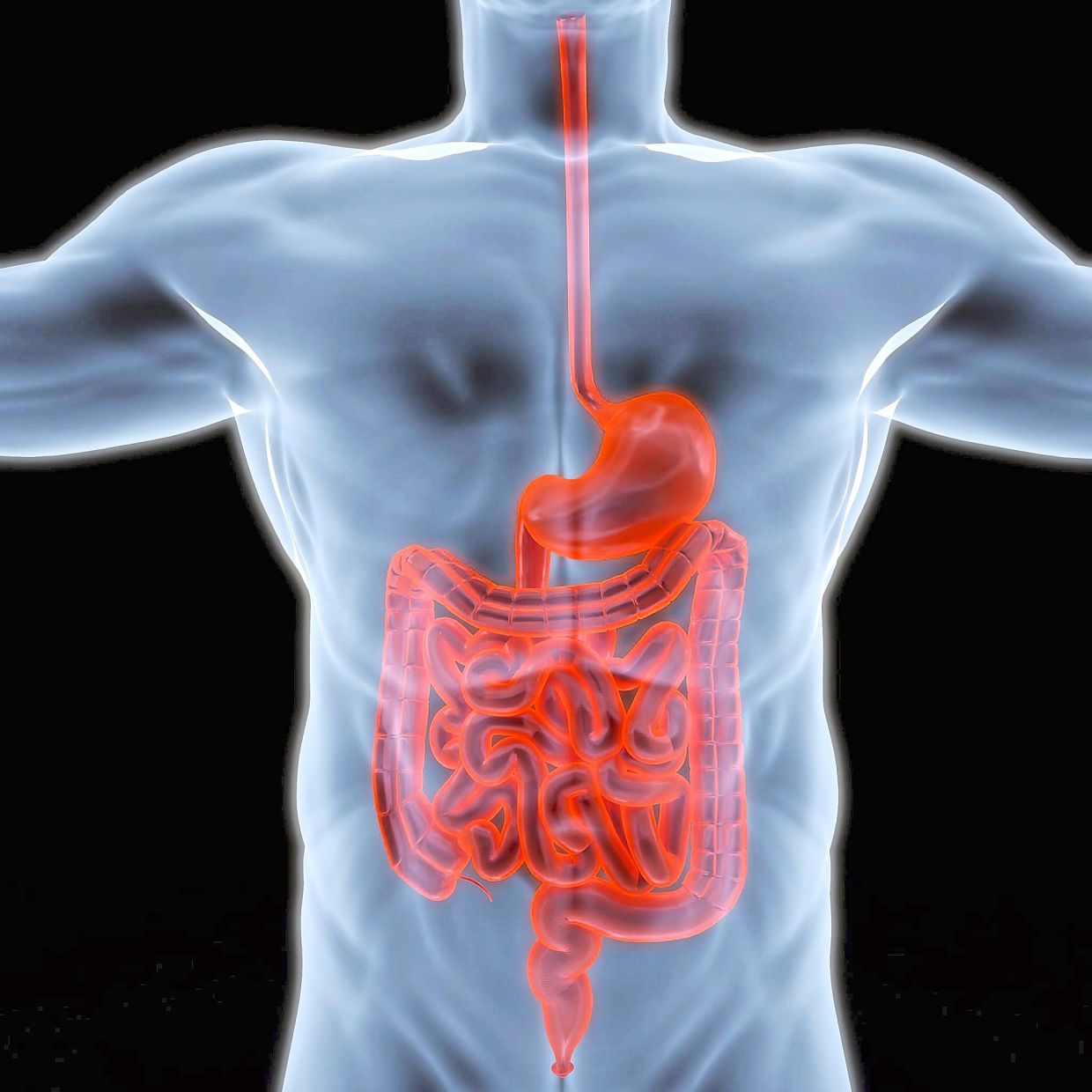 Taking orlistat will result in increased fat in the gastrointestinal tract, where it can cause some of the common side effects of this medication. — Shutterstock