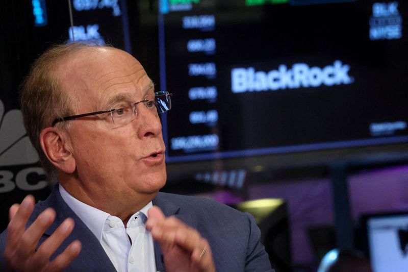 BlackRock in talks with governments about investments to power AI | The ...