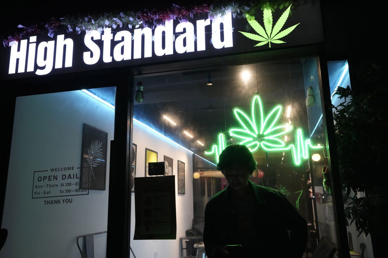 Thai cannabis groups rally against plan to relist plant as drug - Vimarsana News