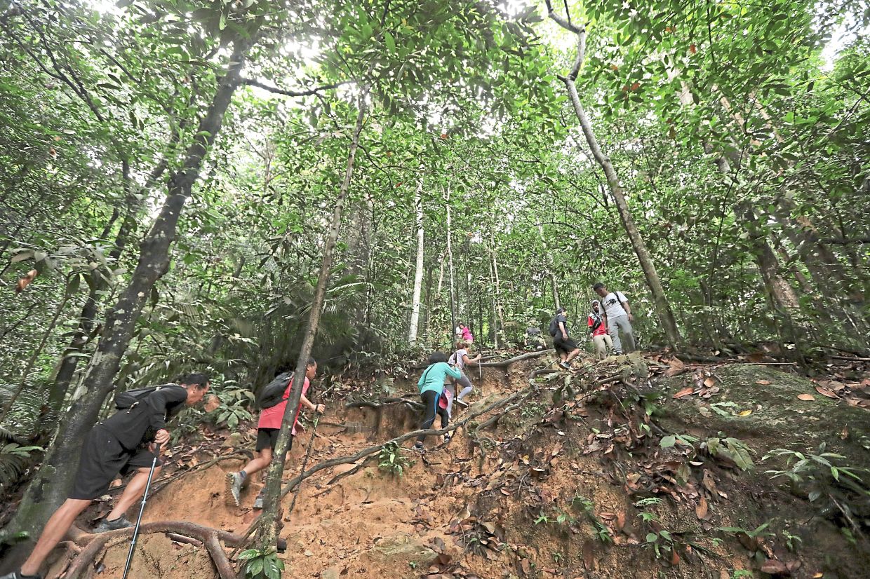 Dos and don'ts in hiking - Vimarsana News