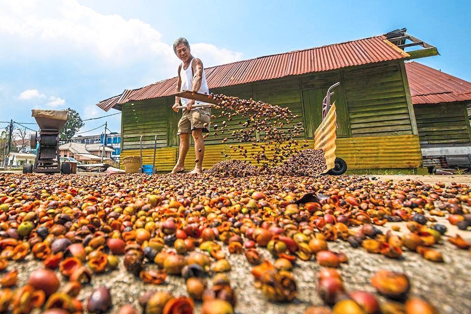 A taste of Nanyang coffee at Sepang's Chop Guan Kee - Vimarsana News