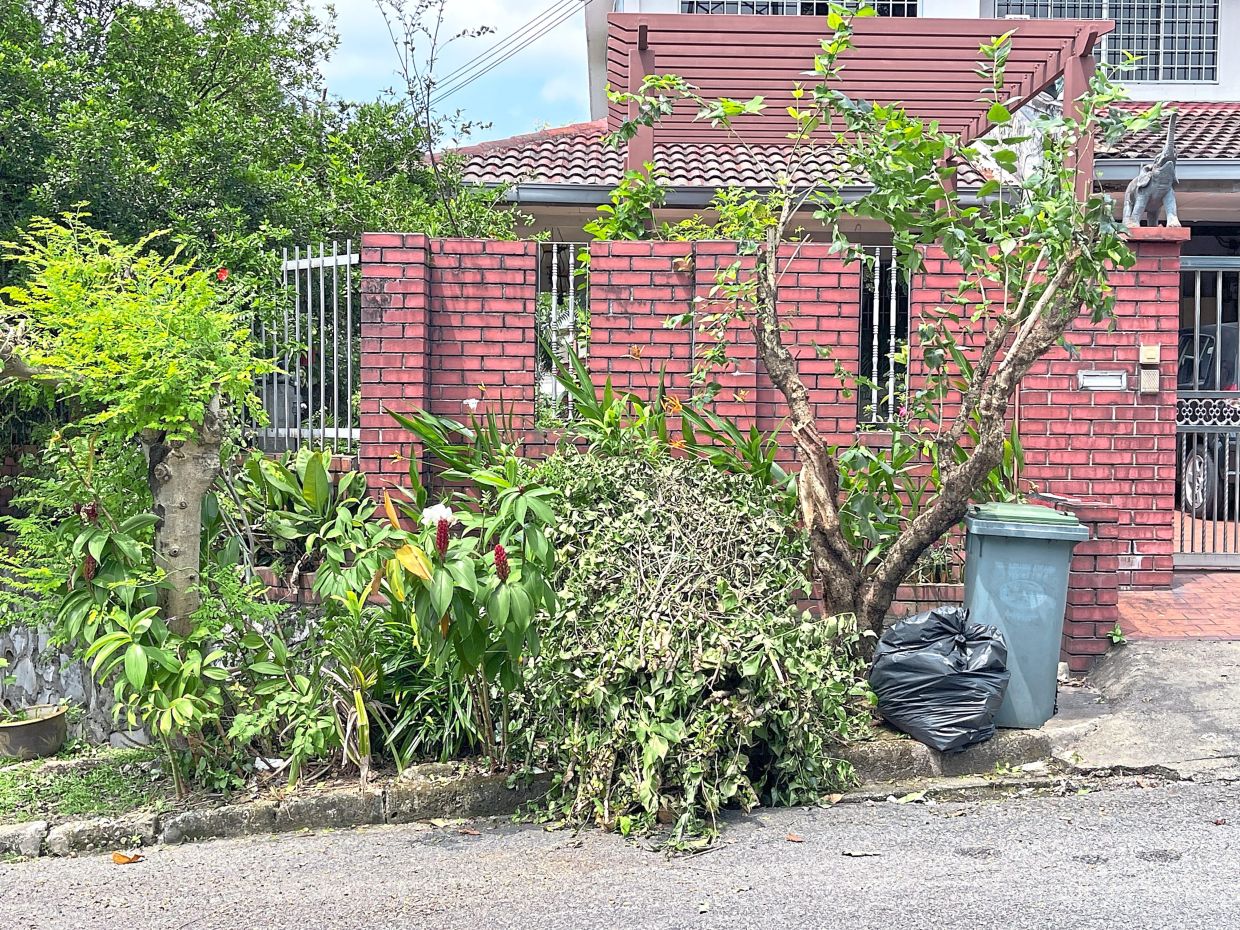 SWCorp says garden waste is to be tied up and placed next to green bins and should not include large tree branches.