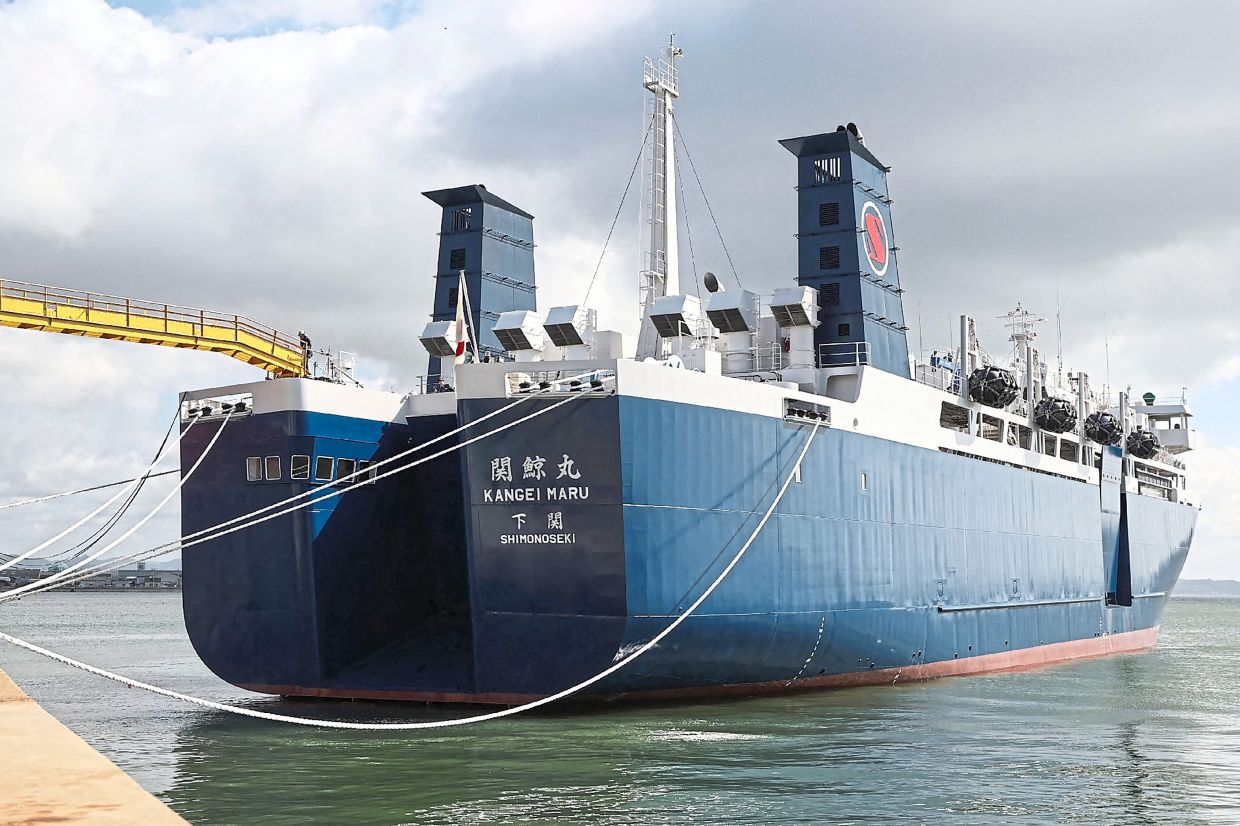 New whaling mothership sets sail | The Star