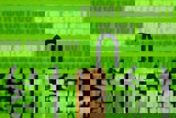 Indonesia’s plan to integrate 27,000 govt apps in one platform welcomed but data security concerns linger