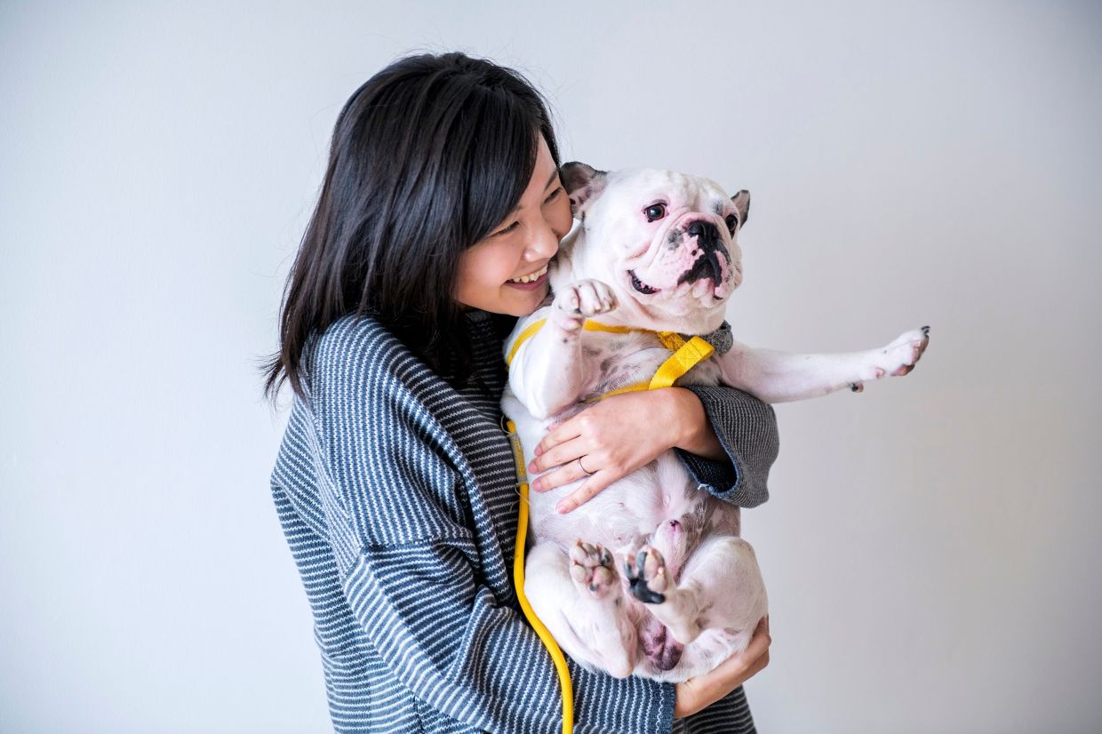 Seoul is a capital of dog-lovers - Vimarsana News