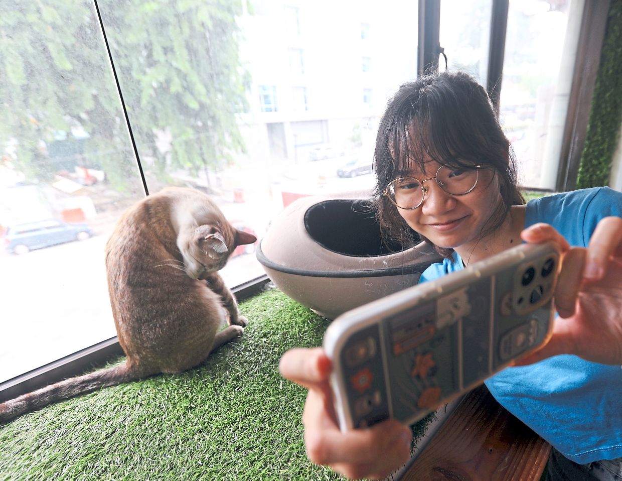 A customer taking a selfie with a cat at the The Purradise Cat Cafe in KL.