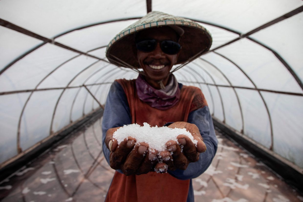 A worker poses with salt as they harvest salt from seawater in a greenhouse, which allows year-round salt production and produces higher quality without dust and rainwater inclusions, in Bungko, West Java. - AFP