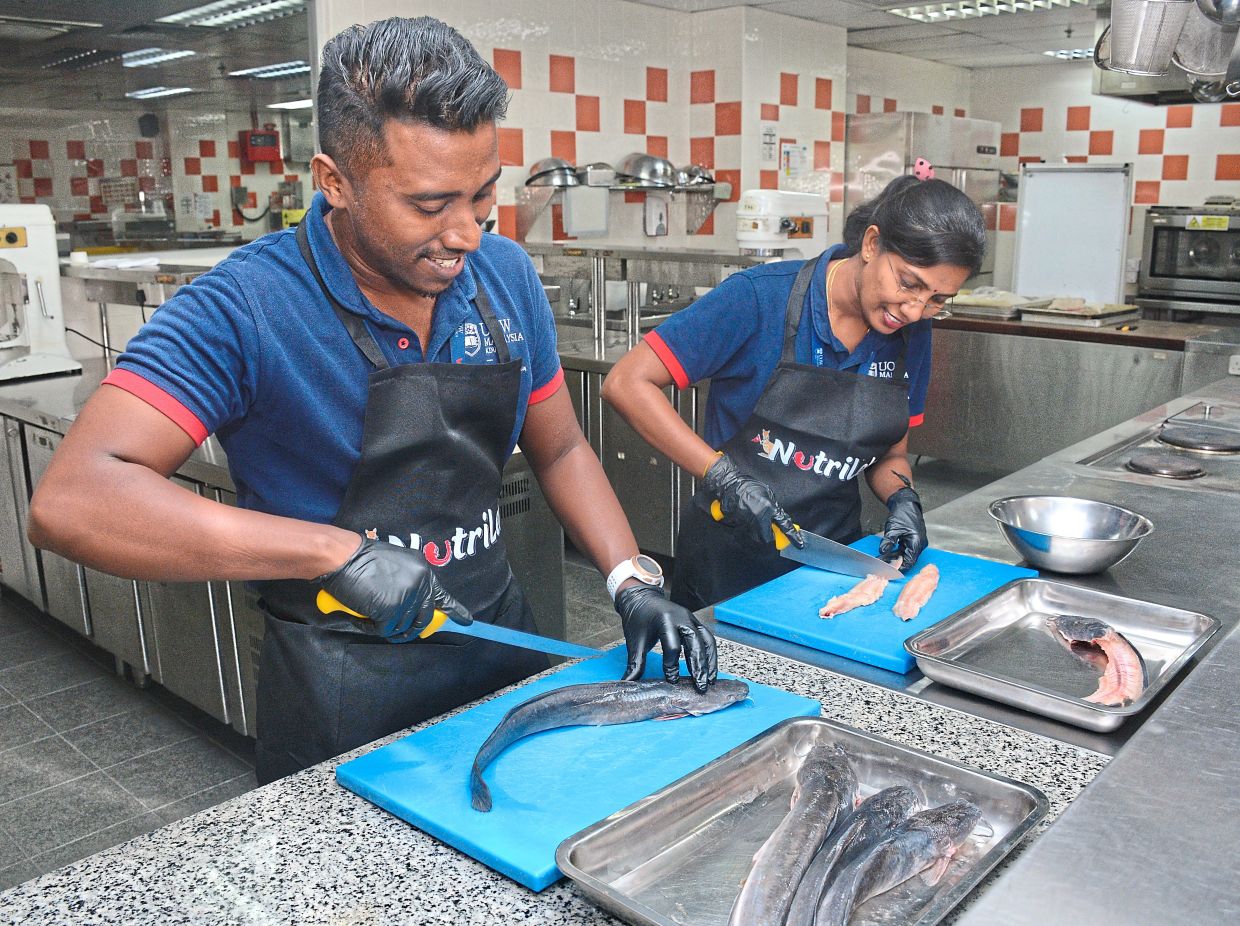 From ‘ugly’ to lipsmacking fish fingers The Star