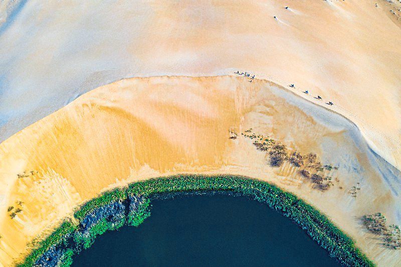 The beautiful Yellow Lake or Lake Asfar in the Al Ahsa Oasis, Saudi Arabia. 