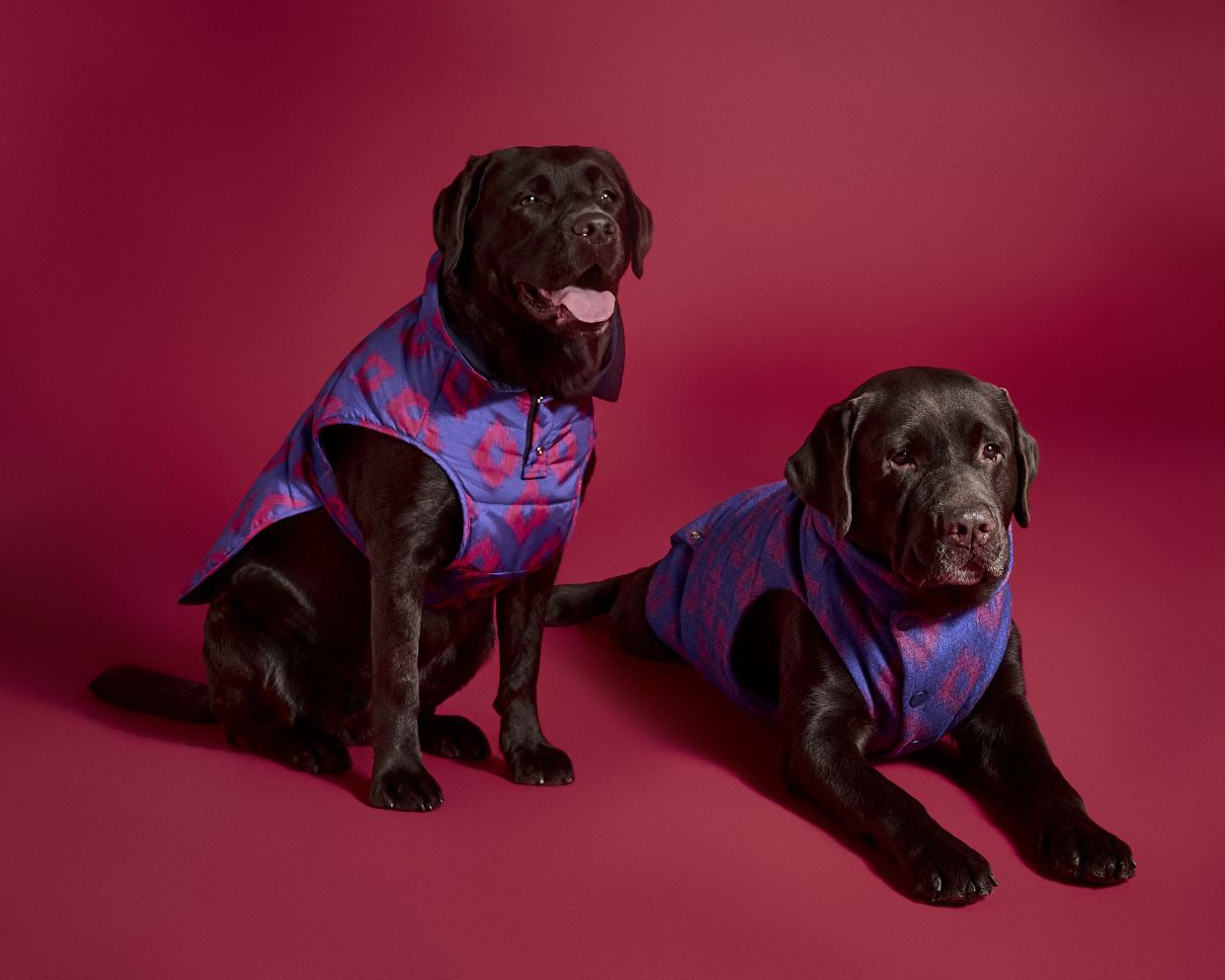 Creative brand partnerships celebrate innovation in the fashion world
