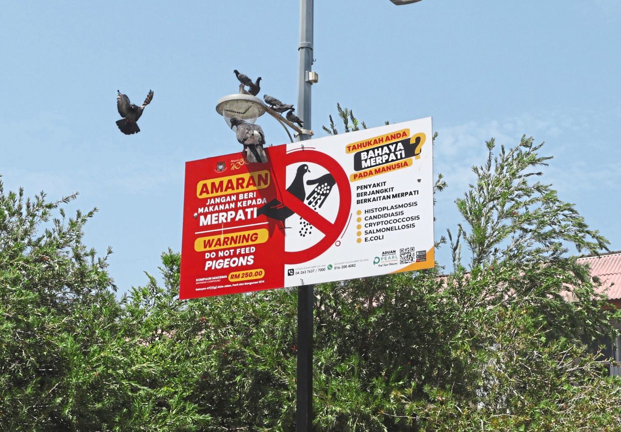 Signboards warning people not to feed pigeons can be seen in many of the 28 hotspots on the island. — ZHAFARAN NASIB/The Star