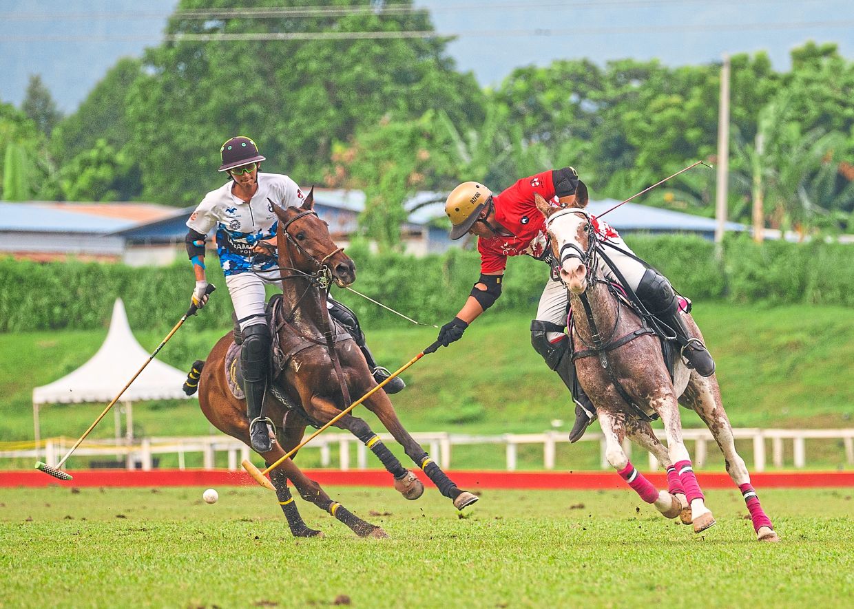 Equestrian fiesta for all | The Star