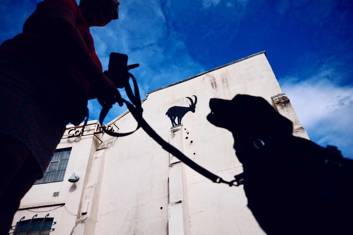 A person and dog standing near a stencilled Banksy artwork, depicting a mountain goat and falling rubble at the top of a pillar, on the side of a building in Kew Gardens, west London on Aug 5. Photo: AFP 
