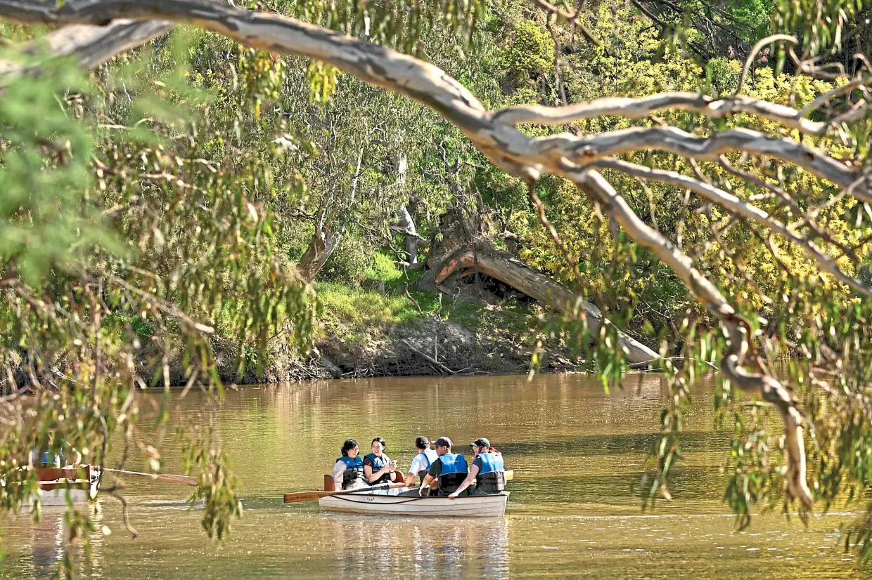 Australia leads global crypto ATM growth | The Star