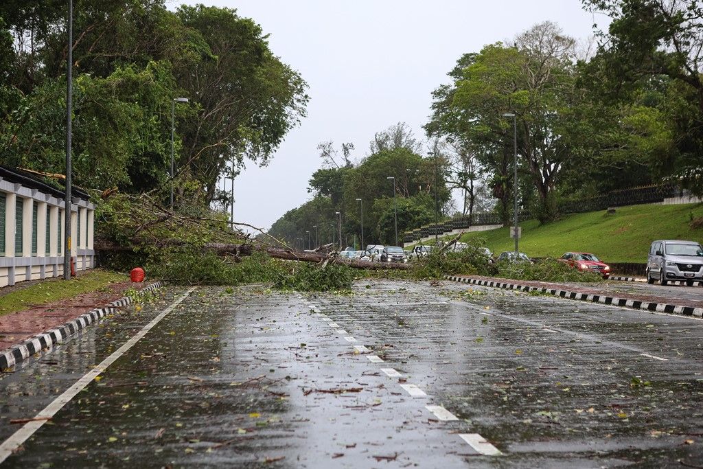 Strong winds wreak havoc in Brunei | The Star