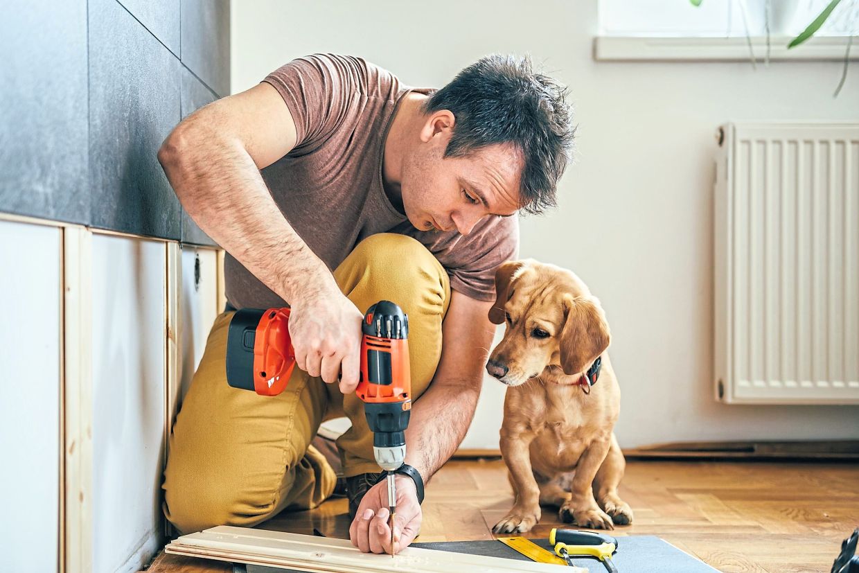 How homeowners are adding petfriendly designs to their living space