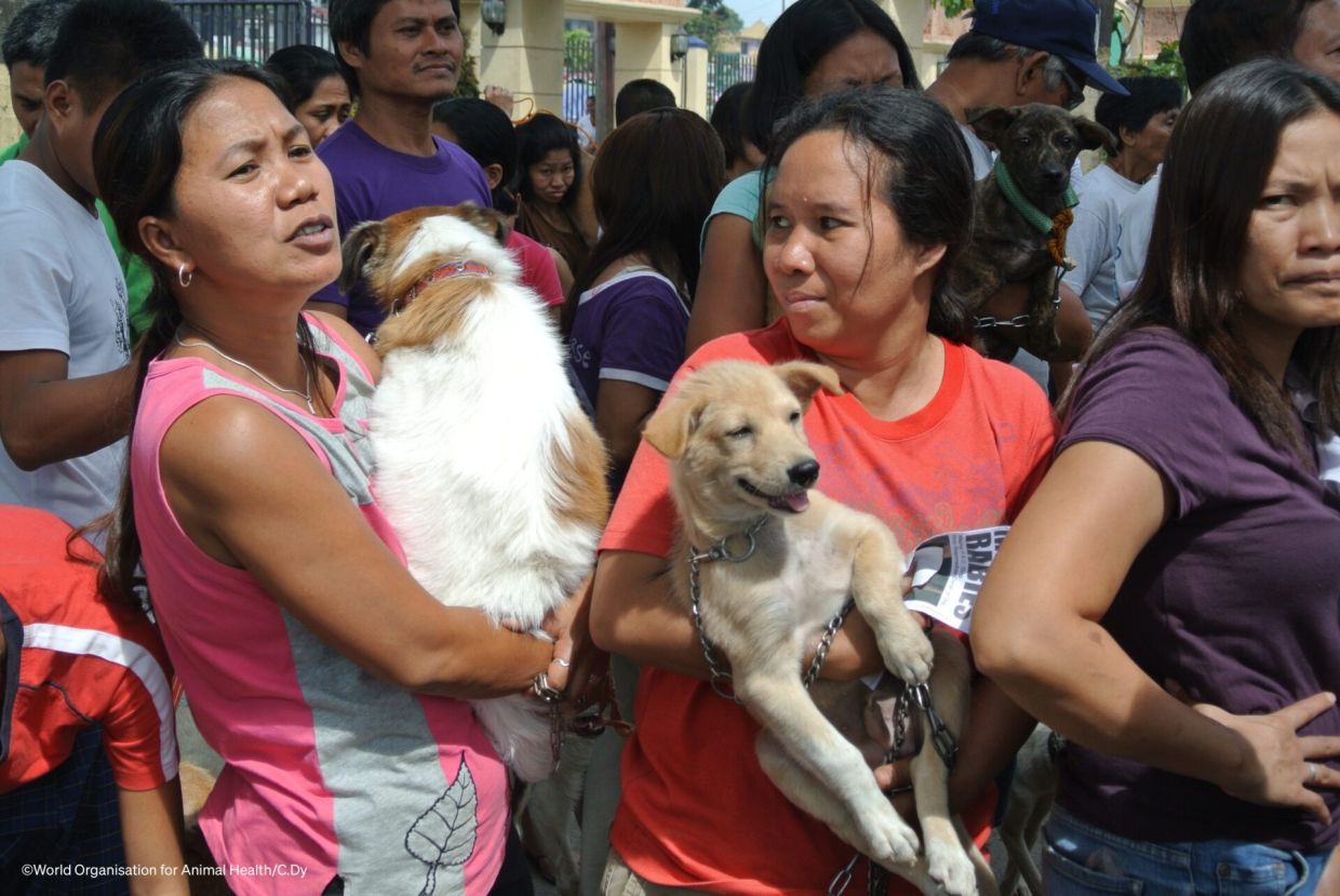 Rabies cases in Philippines up 23 per cent this year; all confirmed cases are fatal, says govt