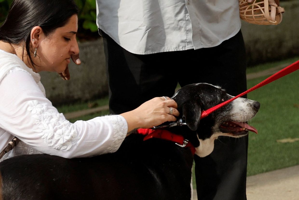 A woman playing with Ratan Tata's dog, Goa, as people attend the funeral. - Reuters