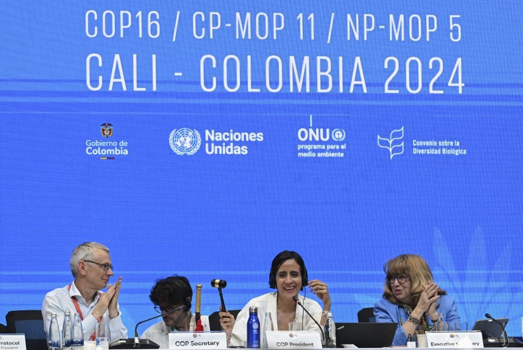 UN talks on saving nature face hurdles | The Star