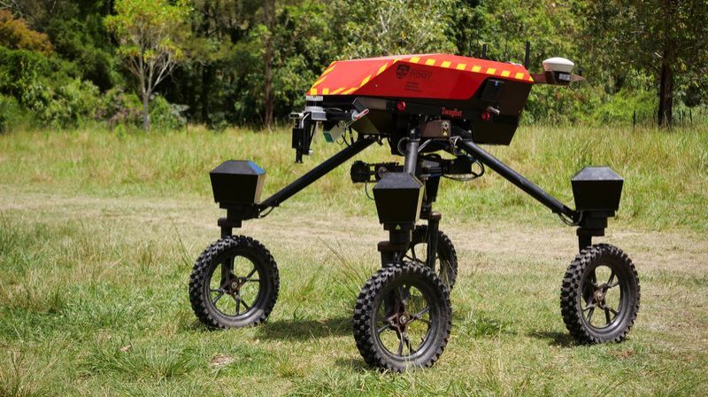University of Sydneys autonomous robot SwagBot moves around a field in Allynbrook Australia November 22 2024. REUTERSCordelia Hsu