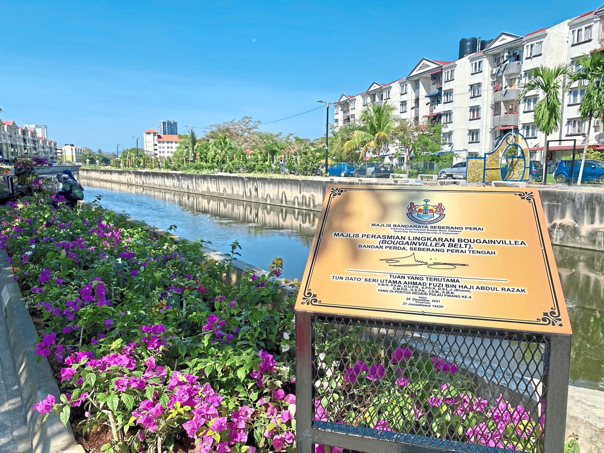 Bougainvillea Belt is a success story of transforming the banks of a monsoon drain into a community park in Seberang Perai, Penang.