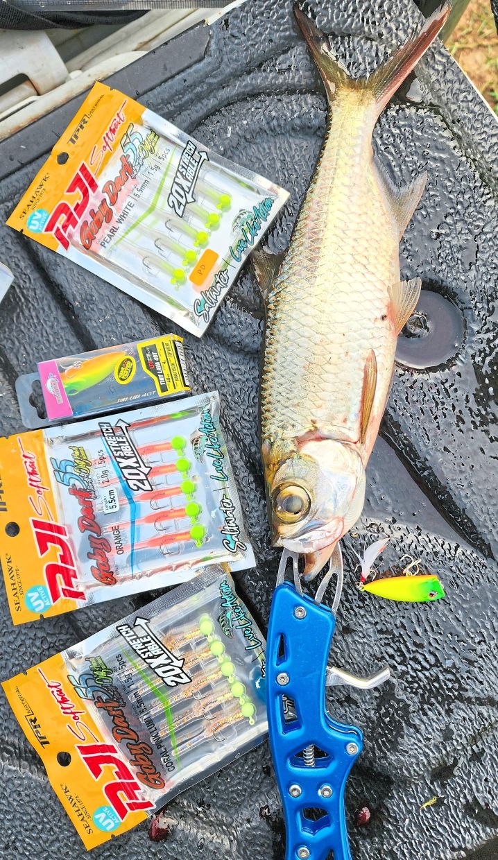 An Indo-Pacific tarpon caught a topwater popper weighing only 2.5gm.