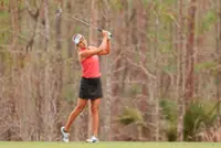 LPGA star Lexi Thompson announces engagement