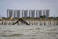 Indonesian navy taking down 'mysterious' sea fence that sparked ...