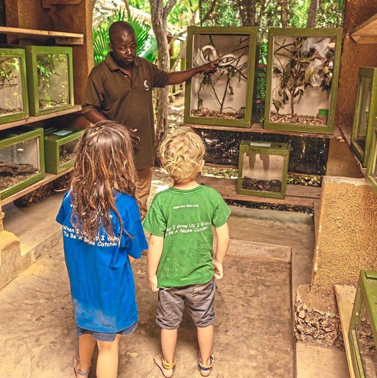 Watamu Snake Farm has a diverse collection of East African venomous snakes. — Taylor Ashe Antivenom Foundation