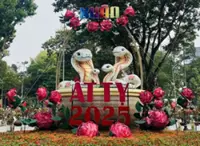 Tet festivals ready to welcome visitors to Vietnam