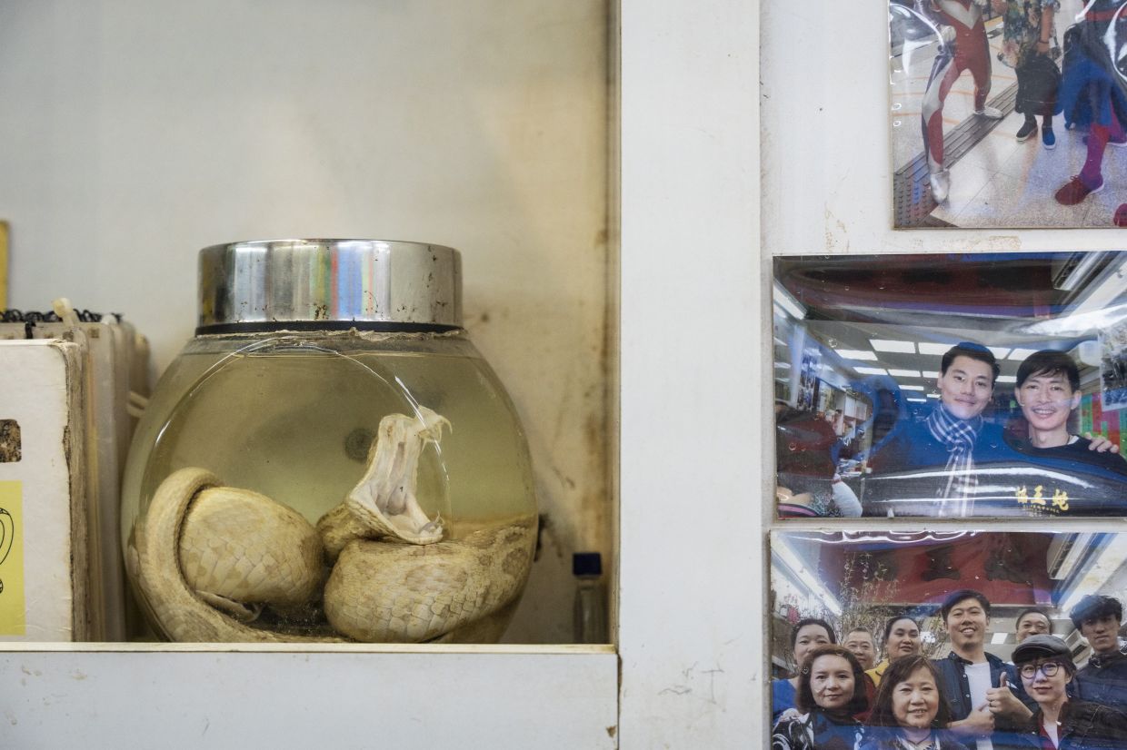 A jar of snake-infused liquor is displayed the family-run snake soup restaurant. - AP