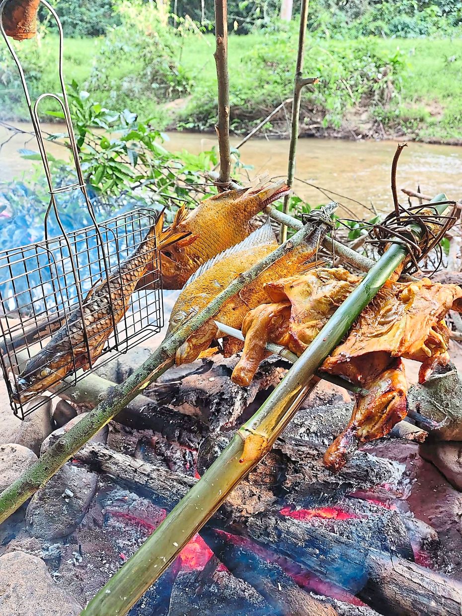 From left, sebarau in a cage, two tilapias and a spatchcock chicken.