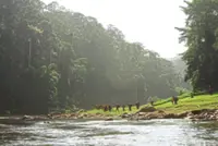 Unseen threats in outdoor adventures