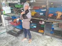 Fewer strays after JB cat shelter set up
