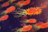 First Guillain-Barre Syndrome case in Telangana reported; state of Jharkhand on high alert