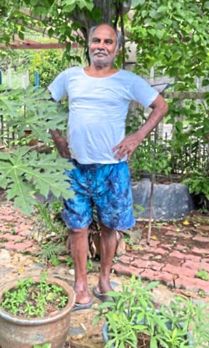 Labour of love: Subramaniam in his vegetable garden.
