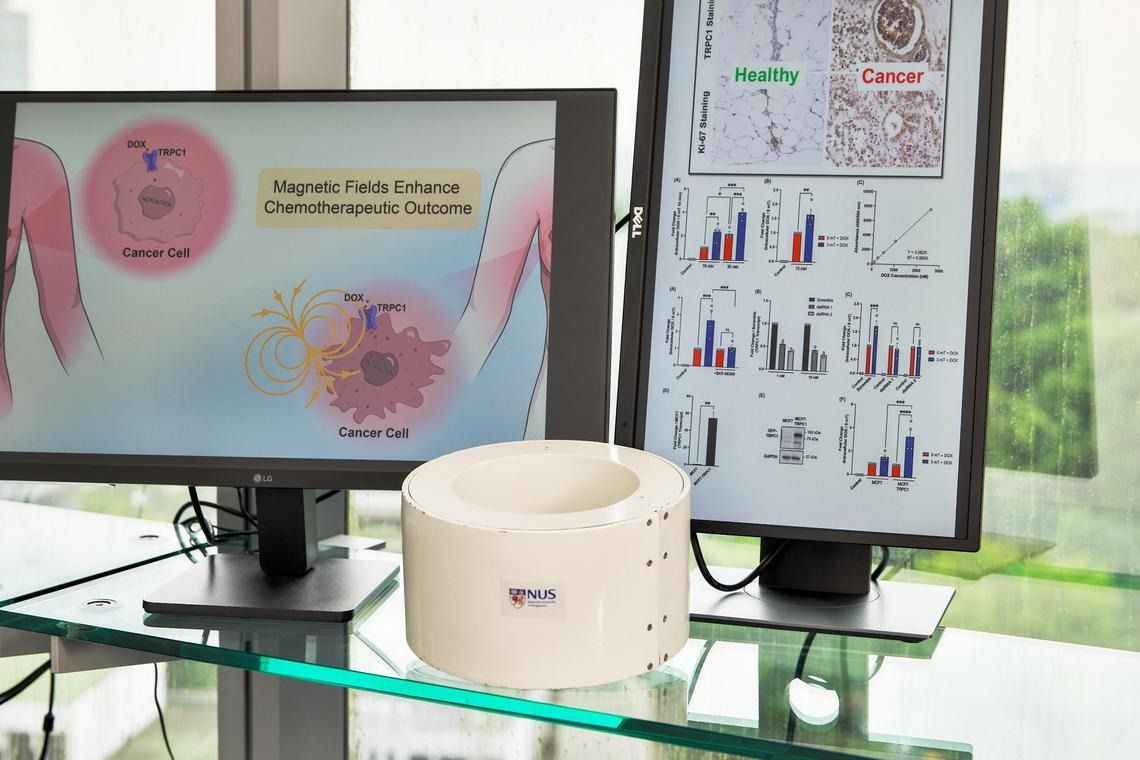 The magnetic therapy device includes a short, hollow cylinder (centre) that produces a pulsed magnetic field similar in strength to what a hairdryer produces. -- PHOTO: NUS INSTITUTE FOR HEALTH INNOVATION AND TECHNOLOGY
