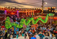 Crowds throng Penang's Snake Temple for annual celebration, fire-watching ceremony