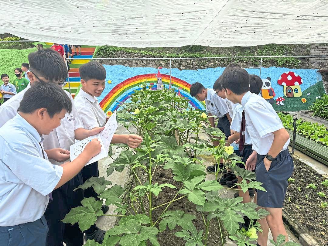Pupils jotting down details about the vegetables at the community farm at SJK(C) Kg Baru Ampang.