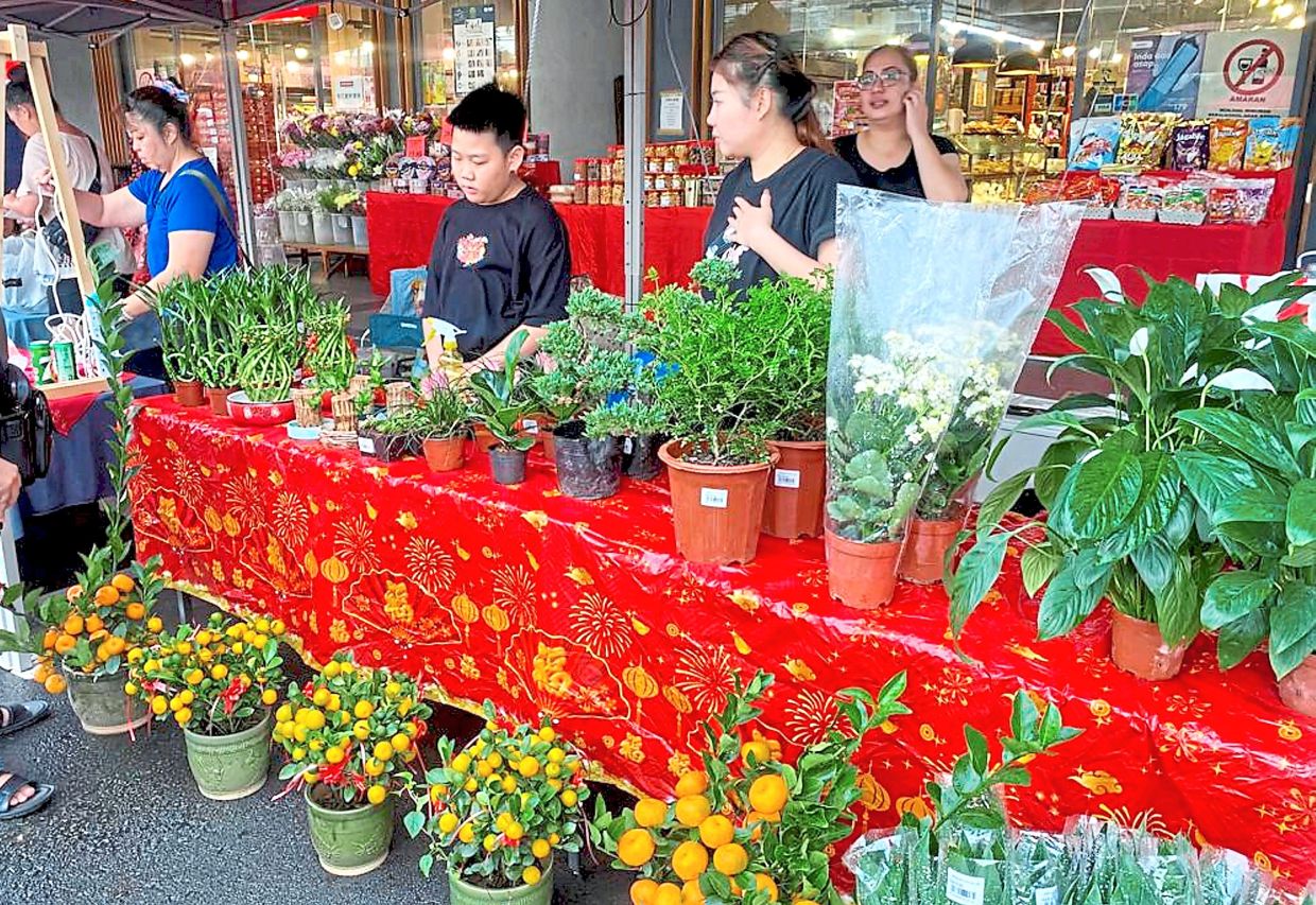The bazaar also featured Chinese New Year plants for sale.