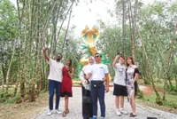 Johor’s bamboo forest a big draw