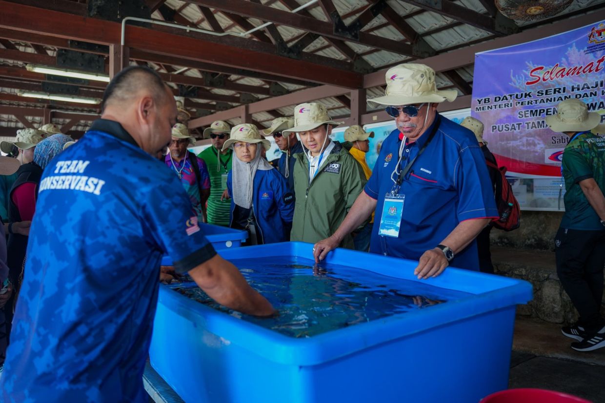 Mat Sabu inspects coral reef conservation at Pulau Payar Marine Park