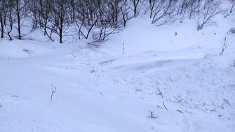 More than 100 guests stranded by snow avalanche at Japanese hot-spring ...
