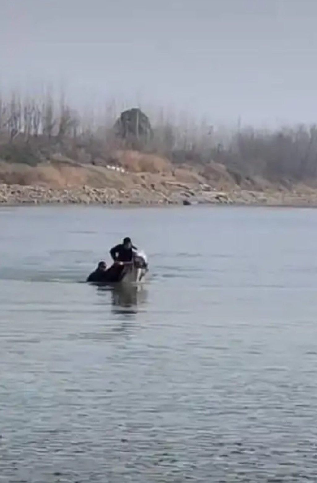 Bailong did not hesitate when its owner instructed it to plunge into the river. - Baidu