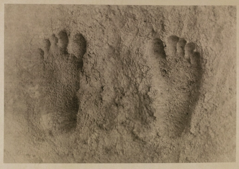 W. Rajaie's 'Sorga Rawa' solo project at The Back Room takes the form of a single installation that fills up the entire gallery. Photo: The Back Room KL