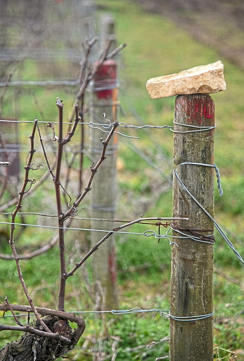 On a post is a chunk of Kimmeridgian limestone, which forms the bedrock in the Chablis region’s best vineyards. Chablis producers are struggling to stave off environmental threats to the wine’s distinctive character, owed to geology, climate, topography and the beliefs and practices of its vignerons. — 2025 The New York Times Company